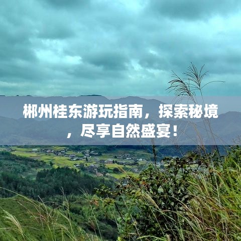 郴州桂東游玩指南，探索秘境，盡享自然盛宴！
