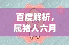 百度解析，屬豬人六月運勢全面解讀