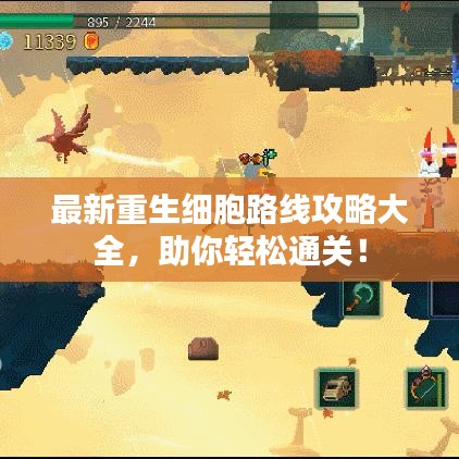 最新重生細(xì)胞路線攻略大全，助你輕松通關(guān)！