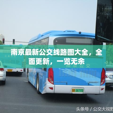 南京最新公交線路圖大全，全面更新，一覽無余
