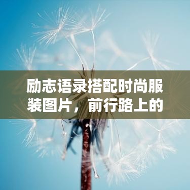 勵志語錄搭配時尚服裝圖片，前行路上的靈感源泉