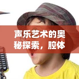 聲樂藝術(shù)的奧秘探索，腔體構(gòu)造圖全解析