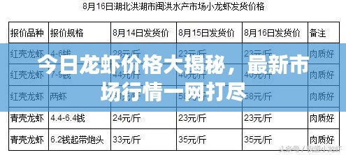 今日龍蝦價格大揭秘，最新市場行情一網(wǎng)打盡
