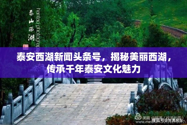 泰安西湖新聞頭條號，揭秘美麗西湖，傳承千年泰安文化魅力