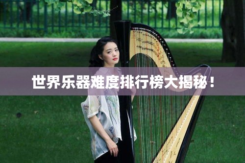 世界樂器難度排行榜大揭秘！