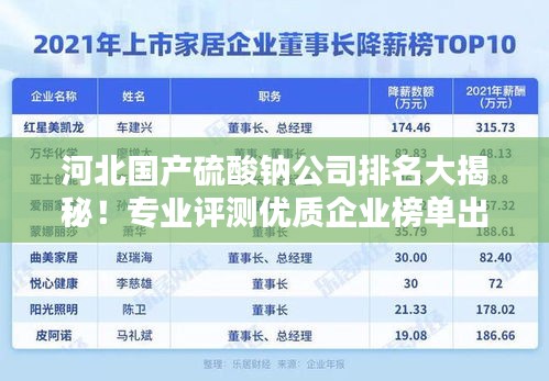 河北國產(chǎn)硫酸鈉公司排名大揭秘！專業(yè)評測優(yōu)質(zhì)企業(yè)榜單出爐！