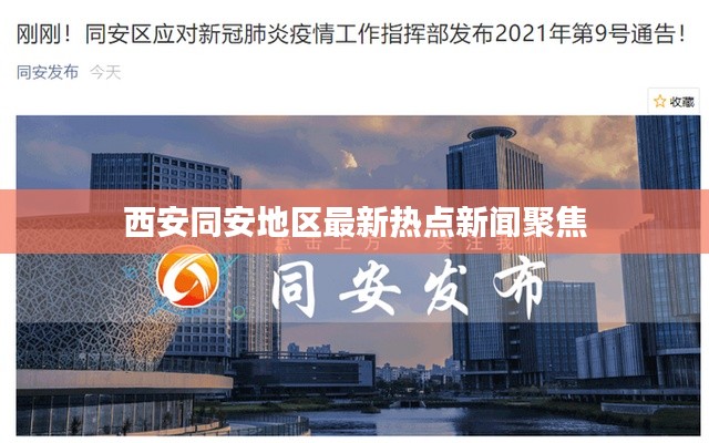 西安同安地區(qū)最新熱點新聞聚焦