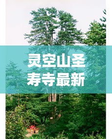 靈空山圣壽寺最新動(dòng)態(tài)與變遷揭秘