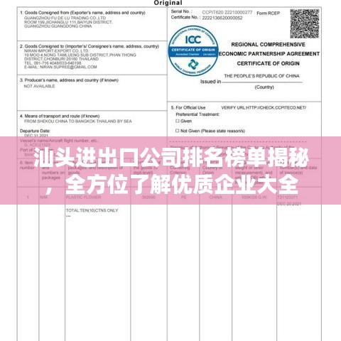 汕頭進(jìn)出口公司排名榜單揭秘，全方位了解優(yōu)質(zhì)企業(yè)大全