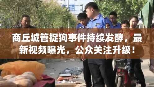 商丘城管捉狗事件持續(xù)發(fā)酵，最新視頻曝光，公眾關注升級！