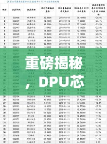重磅揭秘，DPU芯片公司排名及行業(yè)深度剖析！