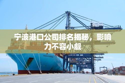 寧波港口公司排名揭秘，影響力不容小覷