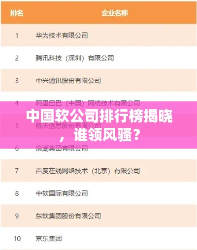 中國(guó)軟公司排行榜揭曉，誰(shuí)領(lǐng)風(fēng)騷？