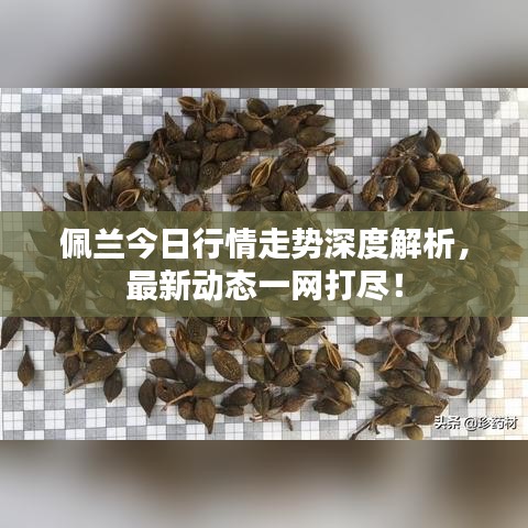 張睢陽齒 第2頁