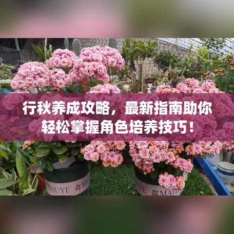 行秋養(yǎng)成攻略，最新指南助你輕松掌握角色培養(yǎng)技巧！