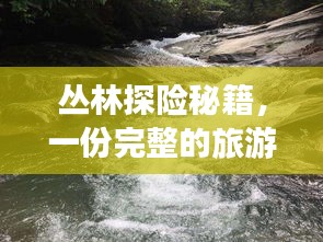 叢林探險秘籍，一份完整的旅游攻略