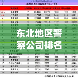 東北地區(qū)警察公司排名揭秘，影響力與實力并存的警務(wù)巨頭榜單