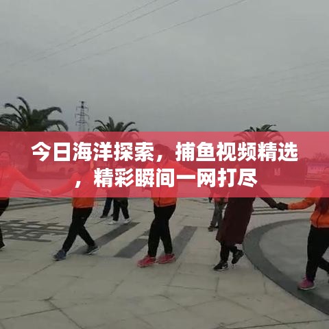 今日海洋探索，捕魚視頻精選，精彩瞬間一網(wǎng)打盡