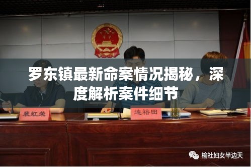 羅東鎮(zhèn)最新命案情況揭秘，深度解析案件細節(jié)