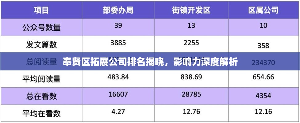 奉賢區(qū)拓展公司排名揭曉，影響力深度解析