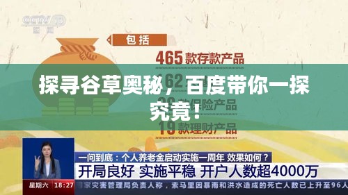 探尋谷草奧秘，百度帶你一探究竟！