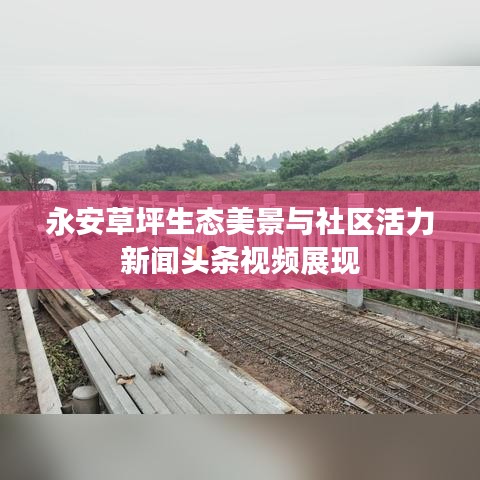 永安草坪生態(tài)美景與社區(qū)活力新聞?lì)^條視頻展現(xiàn)