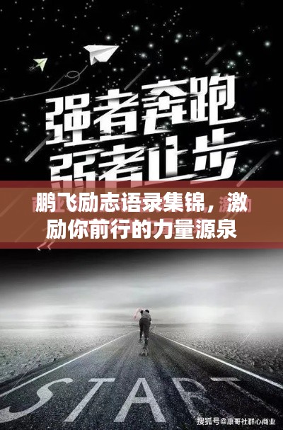 鵬飛勵(lì)志語(yǔ)錄集錦，激勵(lì)你前行的力量源泉