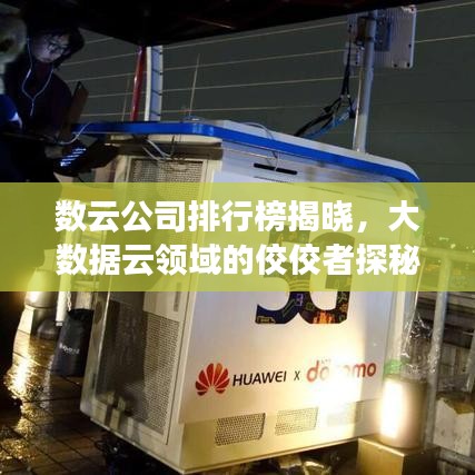 數(shù)云公司排行榜揭曉，大數(shù)據(jù)云領(lǐng)域的佼佼者探秘