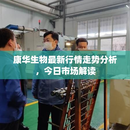 康華生物最新行情走勢分析，今日市場解讀