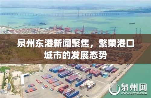 泉州東港新聞聚焦，繁榮港口城市的發(fā)展態(tài)勢