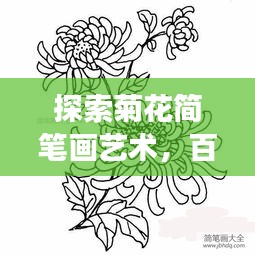 探索菊花簡(jiǎn)筆畫藝術(shù)，百度上的創(chuàng)意手繪之旅
