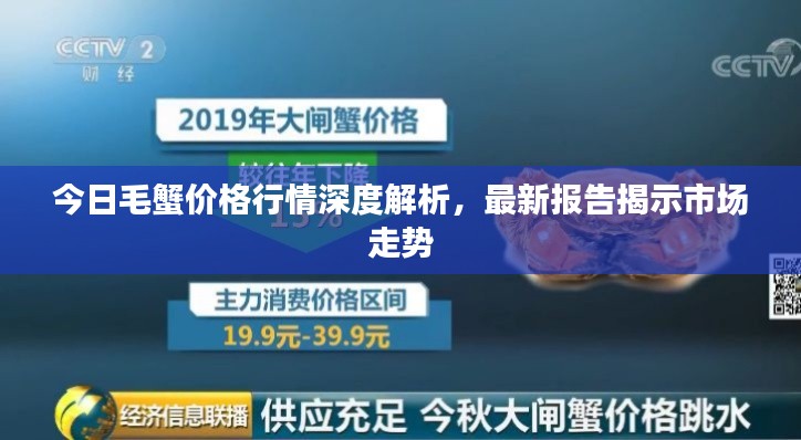 今日毛蟹價(jià)格行情深度解析，最新報(bào)告揭示市場走勢