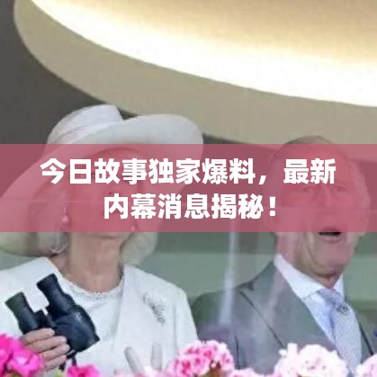 今日故事獨家爆料，最新內(nèi)幕消息揭秘！