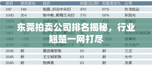 東莞拍賣(mài)公司排名揭秘，行業(yè)翹楚一網(wǎng)打盡