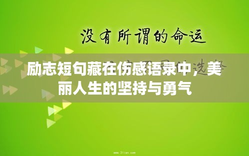 勵(lì)志短句藏在傷感語錄中，美麗人生的堅(jiān)持與勇氣
