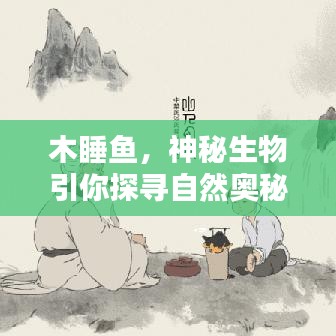 木睡魚(yú)，神秘生物引你探尋自然奧秘